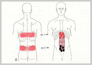 トリガーポイント2