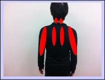 男性お客様の写真3